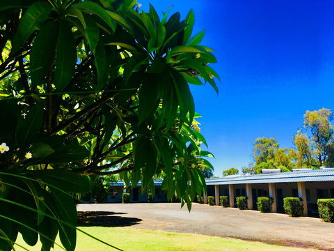 Balonne River Motor Inn - Your Accommodation 0