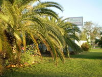 Book Winton Accommodation Vacations Your Accommodation Your Accommodation