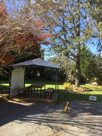 Book Bargo Accommodation Vacations Your Accommodation Your Accommodation