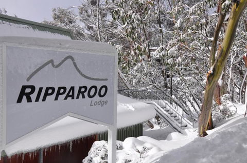 Ripparoo Lodge - Your Accommodation 0