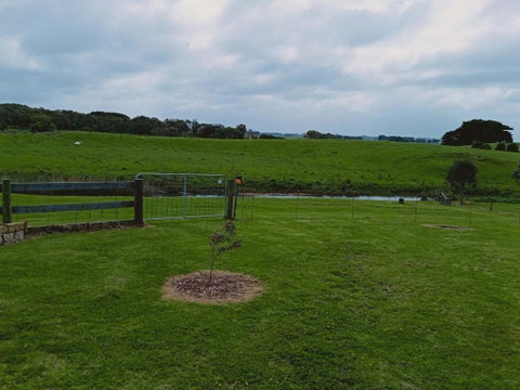 Rosebrook Riverviews By Tiny Away - Your Accommodation 0