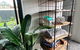 THE BANKSIA SUITE - thumb 3