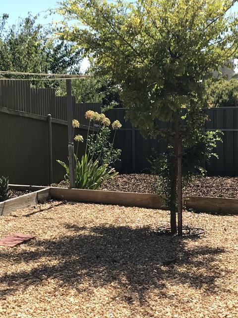 Beatty Cottage - Your Accommodation 2