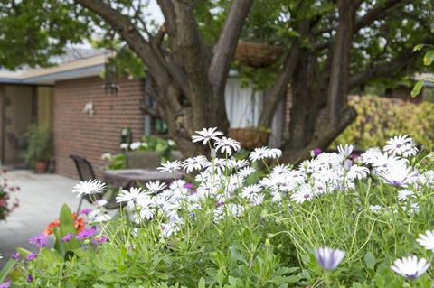 Bed And Breakfast In Perth - Your Accommodation 1