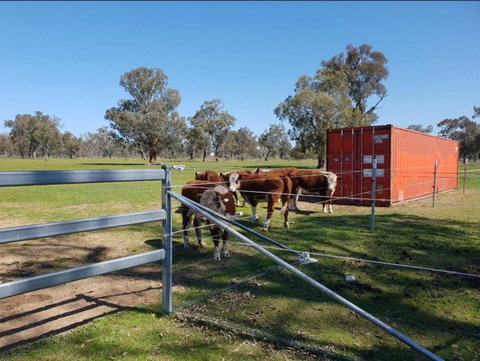 Big Tiny Jindera Park - Your Accommodation 2