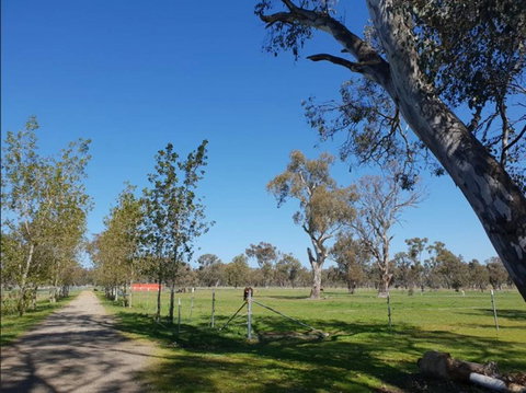 Big Tiny Jindera Park - Your Accommodation 3