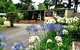 Blackheath Motor Inn - thumb 0