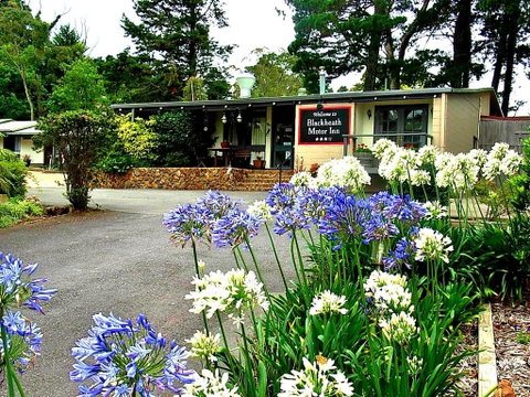 Blackheath Motor Inn - Your Accommodation 0