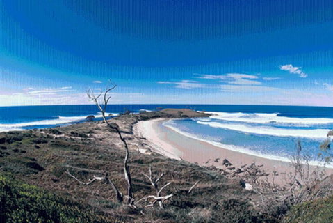Yamba Central - Your Accommodation 3