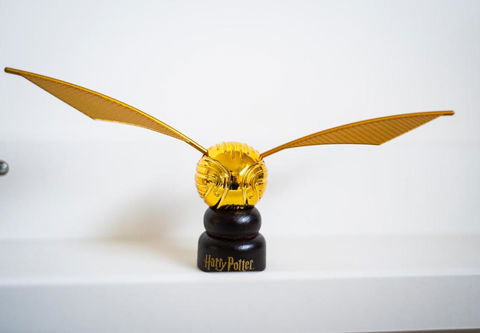Welcome Muggles To The World Of Wizardry - Your Accommodation 3