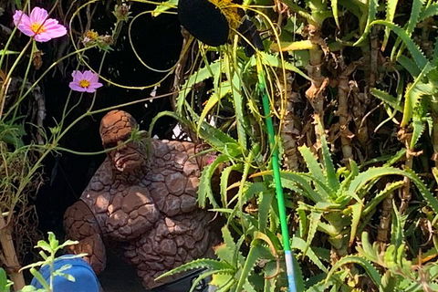 The Fully Local (Private) Tour - Your Accommodation 5