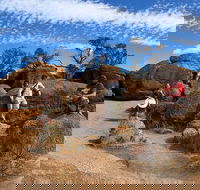 The Big Wave Rock Private Day Tour