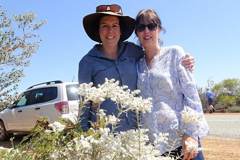 Spring Wildflower (Private) Day Tours - Your Accommodation 0