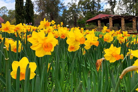 Spring Wildflower (Private) Day Tours - Your Accommodation 1