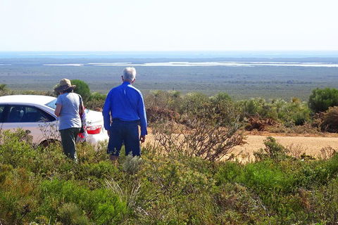 Spring Wildflower (Private) Day Tours - Your Accommodation 3