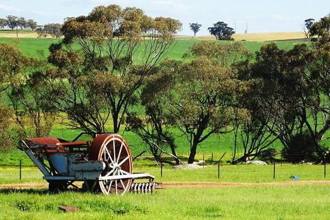 Spring Wildflower (Private) Day Tours - Your Accommodation 4