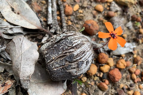 Spring Wildflower (Private) Day Tours - Your Accommodation 5