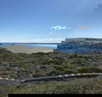 Penguin Island And Fremantle - Canoe Chocolate  Coffee