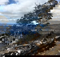 kunanyi / Mt Wellington Explorer Bus - 2 Hour Return Tour - Your Accommodation