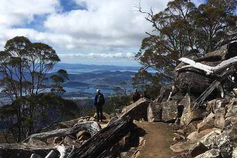 Kunanyi / Mt Wellington Explorer Bus - 2 Hour Return Tour - Your Accommodation 0