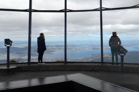 Kunanyi / Mt Wellington Explorer Bus - 2 Hour Return Tour - Your Accommodation 1