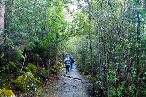 Kunanyi / Mt Wellington Explorer Bus - 2 Hour Return Tour - Your Accommodation 2