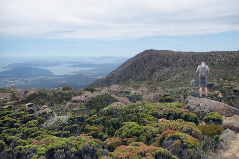 Kunanyi / Mt Wellington Explorer Bus - 2 Hour Return Tour - Your Accommodation 3