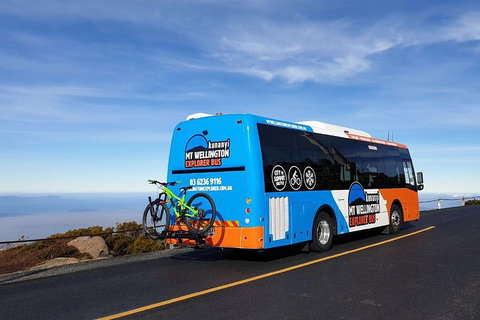 Kunanyi / Mt Wellington Explorer Bus - 2 Hour Return Tour - Your Accommodation 4