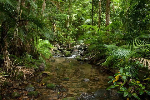Cairns Reef And Rainforest Combo: Daintree Rainforest And The Great Barrier Reef - Your Accommodation 1