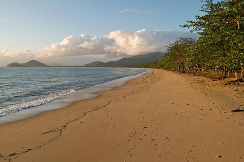 Cairns Reef And Rainforest Combo: Daintree Rainforest And The Great Barrier Reef - Your Accommodation 4