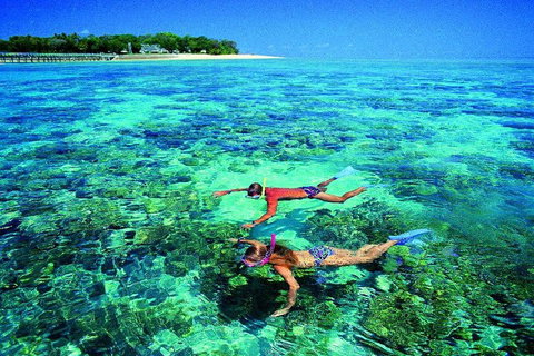 4-Day Cairns With Great Barrier Reef And Daintree Rainforest - Your Accommodation 2