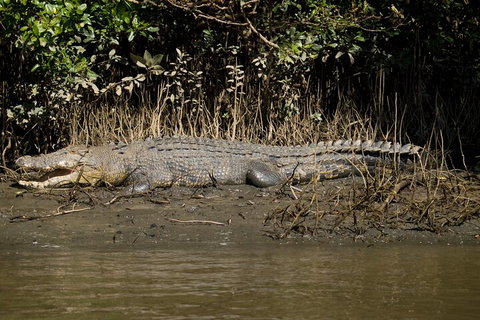 4-Day Cairns With Great Barrier Reef And Daintree Rainforest - Your Accommodation 4