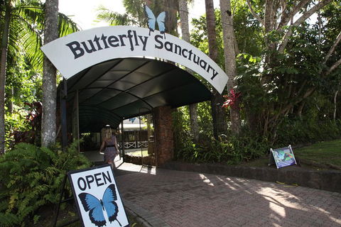 Kuranda Day Trip From Port Douglas Upgrade To Skyrail & Scenic Train Available - Your Accommodation 0
