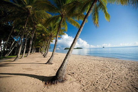 Kuranda Day Trip From Port Douglas Upgrade To Skyrail & Scenic Train Available - Your Accommodation 1