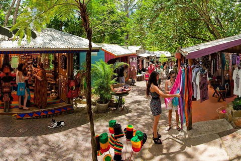 Kuranda Day Trip From Port Douglas Upgrade To Skyrail & Scenic Train Available - Your Accommodation 2