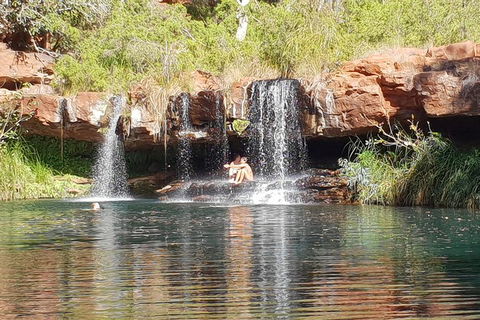 9 Day Perth To Broome Adventure - Your Accommodation 2