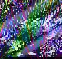 Infinity Attraction - Admission - Your Accommodation