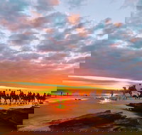 1 Hour Broome Sunset Camel Tour - Your Accommodation