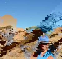 Broome Pre-sunset Camel Tour 30 minutes - Your Accommodation