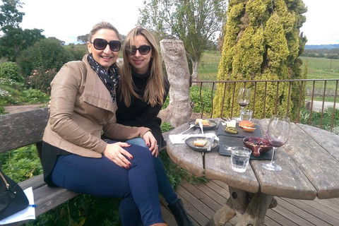 McLaren Vale Intimate Winery Tour By Private Limo - Your Accommodation 4