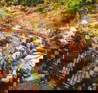 Full-day Springbrook National Park Tour from the Gold Coast - Your Accommodation