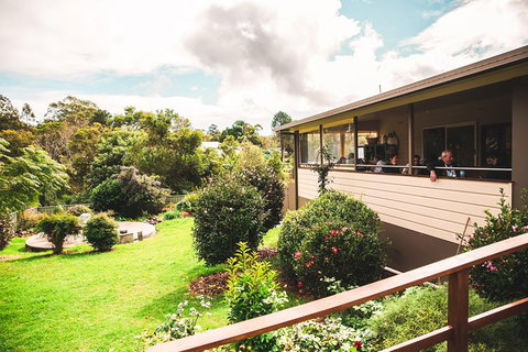 Full-day Springbrook National Park Tour From The Gold Coast - Your Accommodation 2