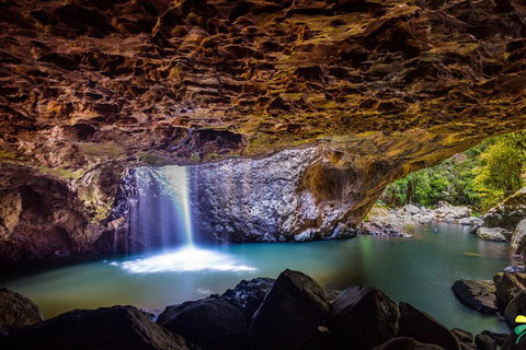 Full-day Springbrook National Park Tour From The Gold Coast - Your Accommodation 3