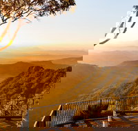 O'Reilly's  Lamington National Park incl. Alpaca Farm  Vineyard - Your Accommodation