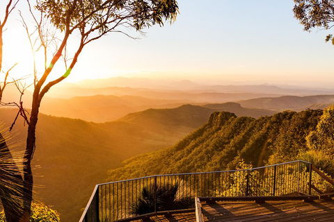 O'Reilly's & Lamington National Park Incl. Alpaca Farm + Vineyard - Your Accommodation 0