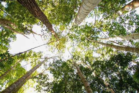 Fraser Island 4WD Tour From Noosa - Your Accommodation 0