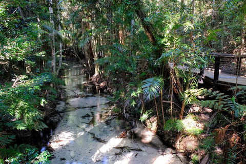 Fraser Island 4WD Tour From Rainbow Beach - Your Accommodation 0