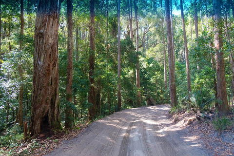 Fraser Island 4WD Tour From Rainbow Beach - Your Accommodation 4