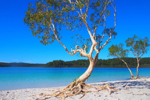 Fraser Island 4WD Tour From Rainbow Beach - Your Accommodation 5