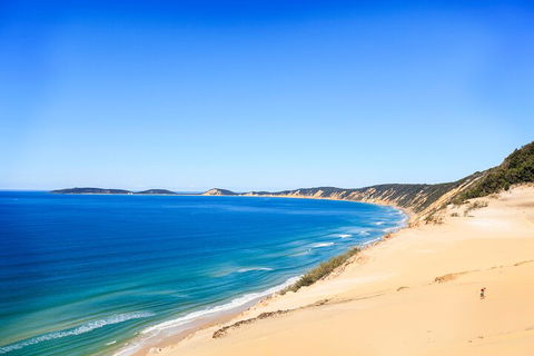 Kayak With Dolphins And 4WD Great Beach Drive Day Trip From Noosa - Your Accommodation 0